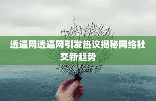 透逼网透逼网引发热议揭秘网络社交新趋势