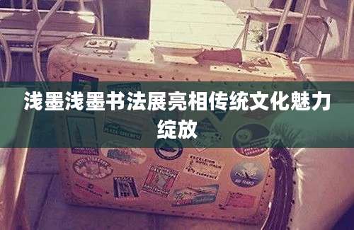 浅墨浅墨书法展亮相传统文化魅力绽放