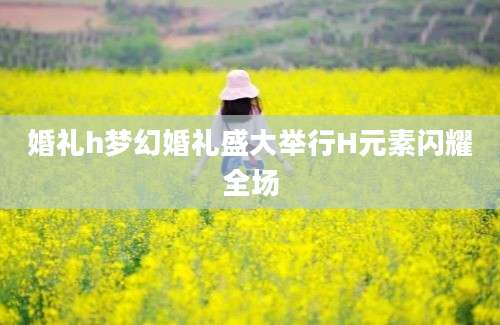 婚礼h梦幻婚礼盛大举行H元素闪耀全场