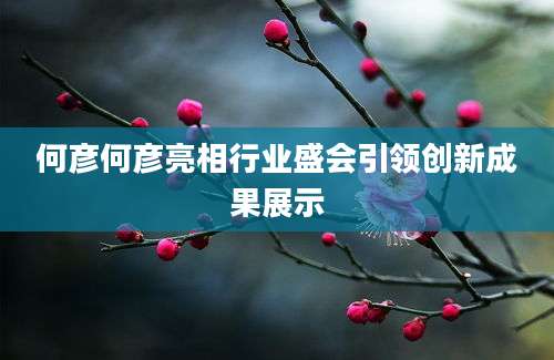何彦何彦亮相行业盛会引领创新成果展示