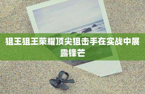 狙王狙王荣耀顶尖狙击手在实战中展露锋芒