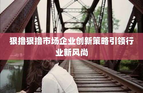狠撸狠撸市场企业创新策略引领行业新风尚