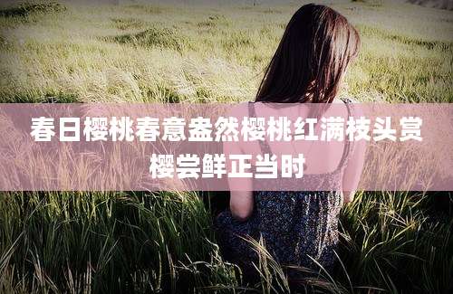 春日樱桃春意盎然樱桃红满枝头赏樱尝鲜正当时