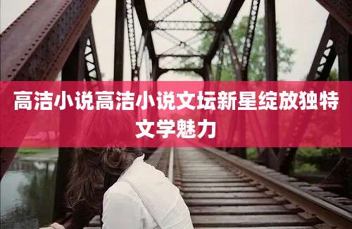 高洁小说高洁小说文坛新星绽放独特文学魅力