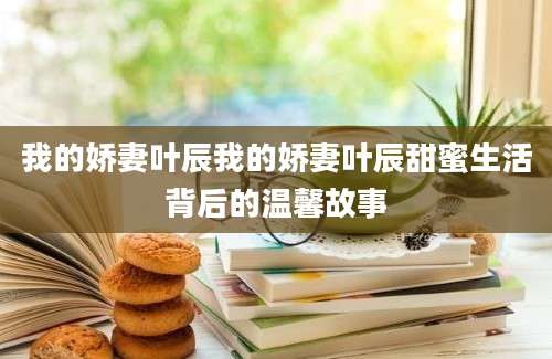 我的娇妻叶辰我的娇妻叶辰甜蜜生活背后的温馨故事