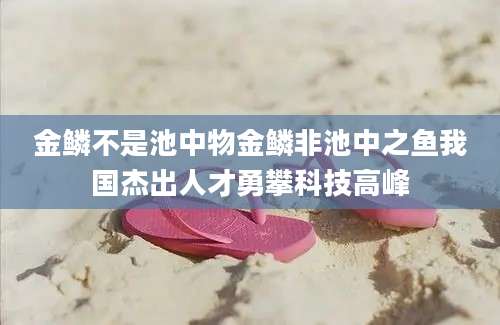 金鳞不是池中物金鳞非池中之鱼我国杰出人才勇攀科技高峰