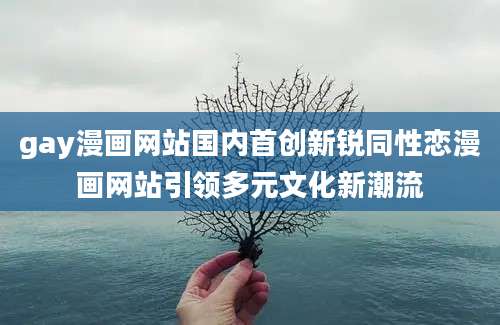 gay漫画网站国内首创新锐同性恋漫画网站引领多元文化新潮流