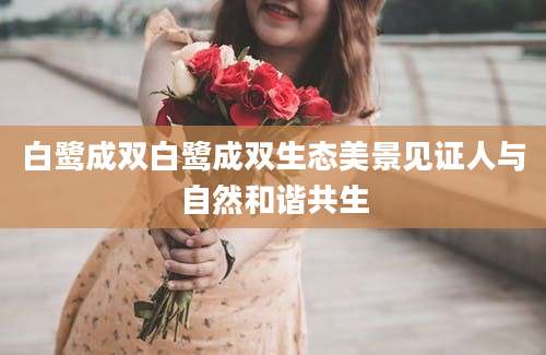 白鹭成双白鹭成双生态美景见证人与自然和谐共生