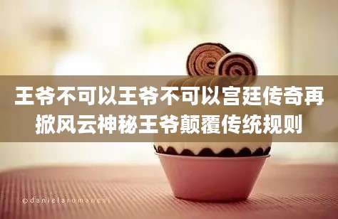 王爷不可以王爷不可以宫廷传奇再掀风云神秘王爷颠覆传统规则