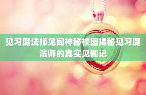 见习魔法师见闻神秘校园揭秘见习魔法师的真实见闻记