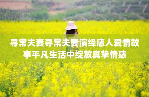 寻常夫妻寻常夫妻演绎感人爱情故事平凡生活中绽放真挚情感