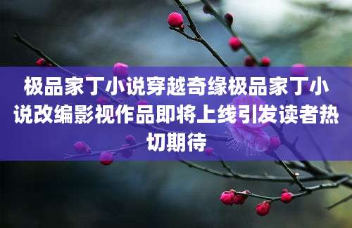 极品家丁小说穿越奇缘极品家丁小说改编影视作品即将上线引发读者热切期待