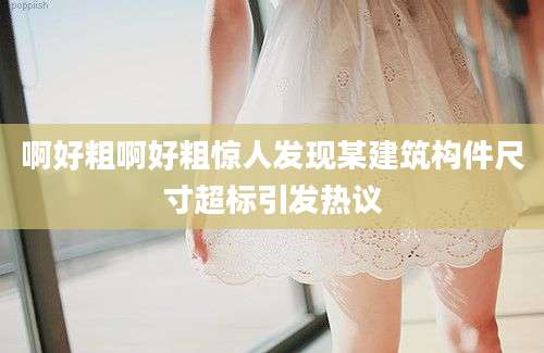 啊好粗啊好粗惊人发现某建筑构件尺寸超标引发热议