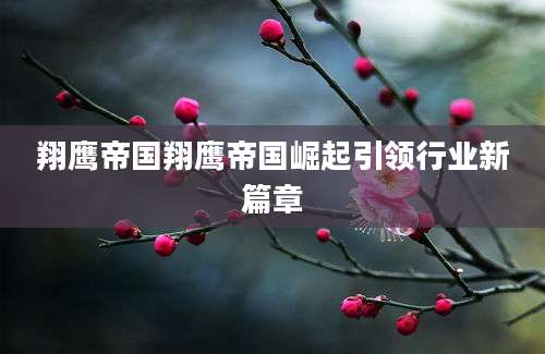 翔鹰帝国翔鹰帝国崛起引领行业新篇章