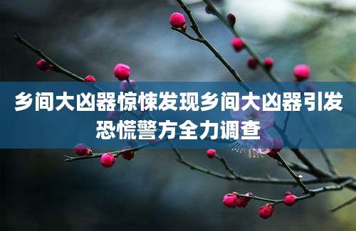乡间大凶器惊悚发现乡间大凶器引发恐慌警方全力调查