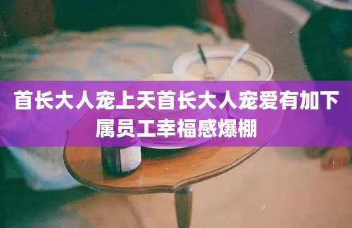 首长大人宠上天首长大人宠爱有加下属员工幸福感爆棚