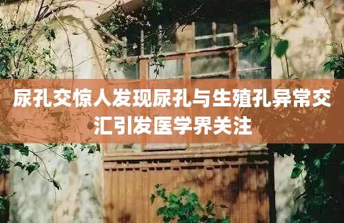 尿孔交惊人发现尿孔与生殖孔异常交汇引发医学界关注