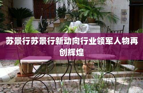 苏景行苏景行新动向行业领军人物再创辉煌