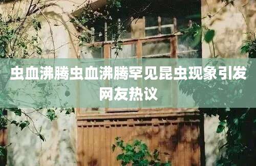 虫血沸腾虫血沸腾罕见昆虫现象引发网友热议