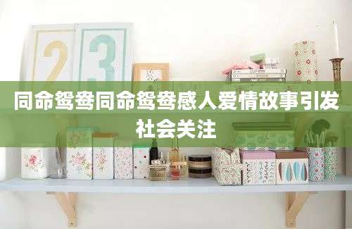 同命鸳鸯同命鸳鸯感人爱情故事引发社会关注