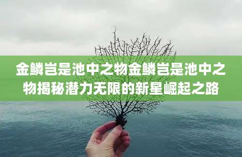 金鳞岂是池中之物金鳞岂是池中之物揭秘潜力无限的新星崛起之路