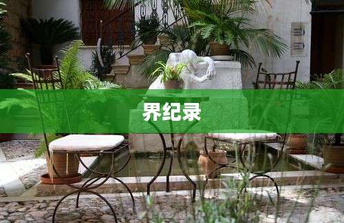 界纪录