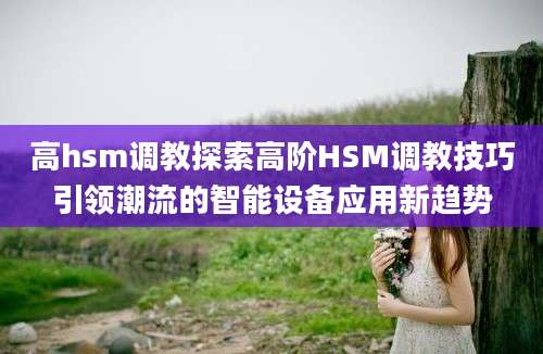 高hsm调教探索高阶HSM调教技巧引领潮流的智能设备应用新趋势