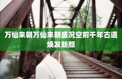 万仙来朝万仙来朝盛况空前千年古道焕发新颜