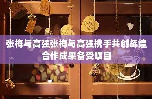 张梅与高强张梅与高强携手共创辉煌合作成果备受瞩目