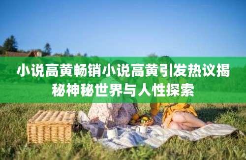小说高黄畅销小说高黄引发热议揭秘神秘世界与人性探索