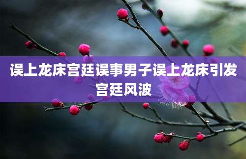 误上龙床宫廷误事男子误上龙床引发宫廷风波