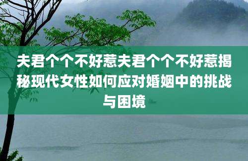 夫君个个不好惹夫君个个不好惹揭秘现代女性如何应对婚姻中的挑战与困境