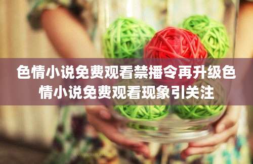 色情小说免费观看禁播令再升级色情小说免费观看现象引关注
