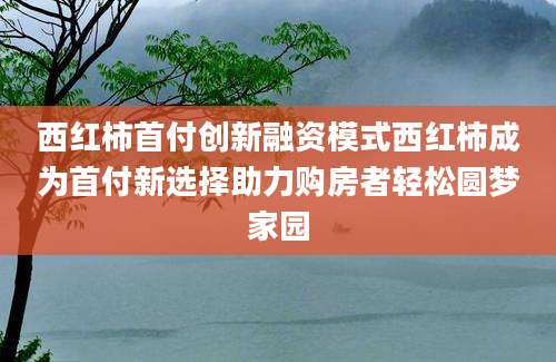 西红柿首付创新融资模式西红柿成为首付新选择助力购房者轻松圆梦家园