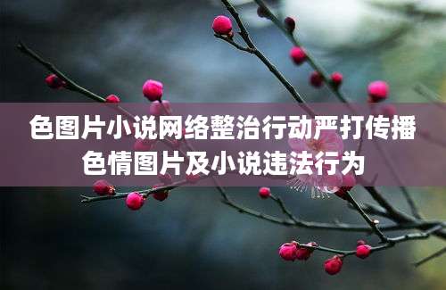 色图片小说网络整治行动严打传播色情图片及小说违法行为