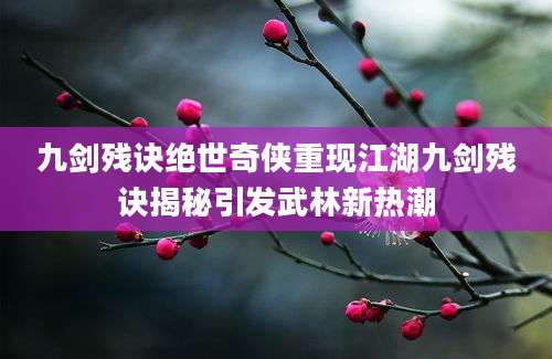 九剑残诀绝世奇侠重现江湖九剑残诀揭秘引发武林新热潮