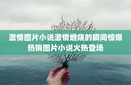 激情图片小说激情燃烧的瞬间惊爆热销图片小说火热登场