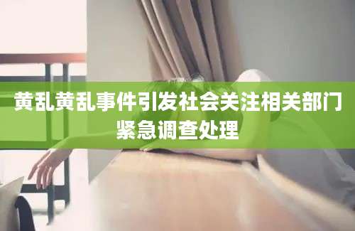 黄乱黄乱事件引发社会关注相关部门紧急调查处理