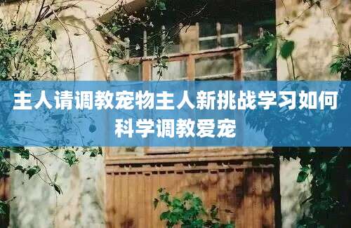 主人请调教宠物主人新挑战学习如何科学调教爱宠