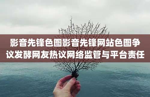 影音先锋色图影音先锋网站色图争议发酵网友热议网络监管与平台责任