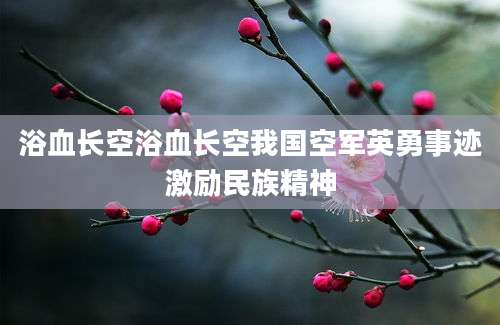 浴血长空浴血长空我国空军英勇事迹激励民族精神