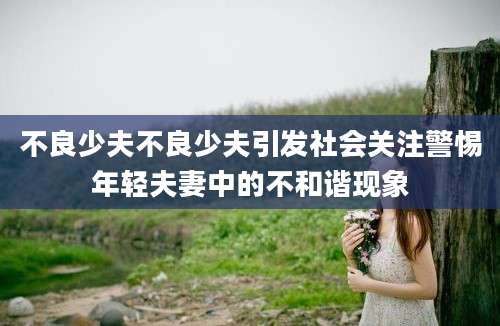 不良少夫不良少夫引发社会关注警惕年轻夫妻中的不和谐现象