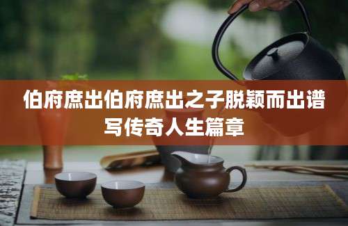 伯府庶出伯府庶出之子脱颖而出谱写传奇人生篇章