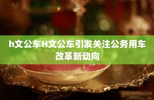 h文公车H文公车引发关注公务用车改革新动向