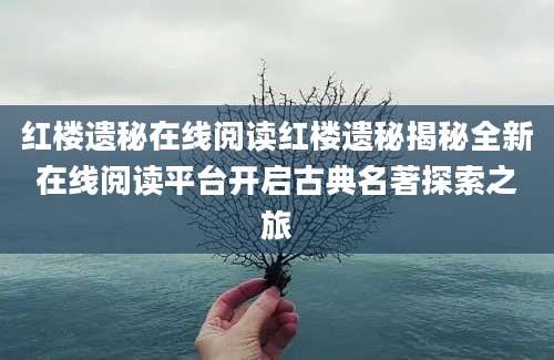 红楼遗秘在线阅读红楼遗秘揭秘全新在线阅读平台开启古典名著探索之旅