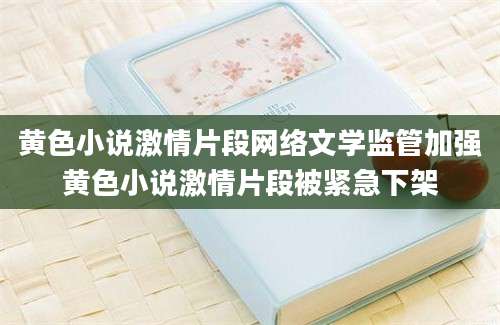黄色小说激情片段网络文学监管加强黄色小说激情片段被紧急下架