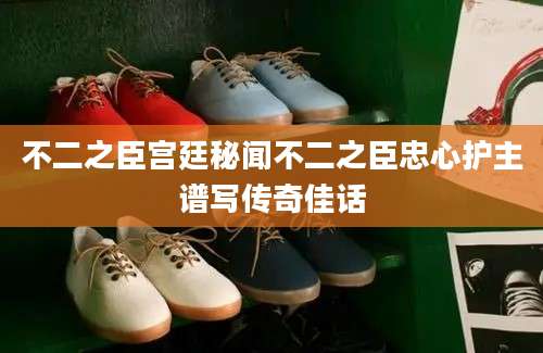 不二之臣宫廷秘闻不二之臣忠心护主谱写传奇佳话