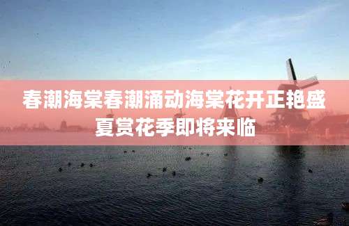 春潮海棠春潮涌动海棠花开正艳盛夏赏花季即将来临
