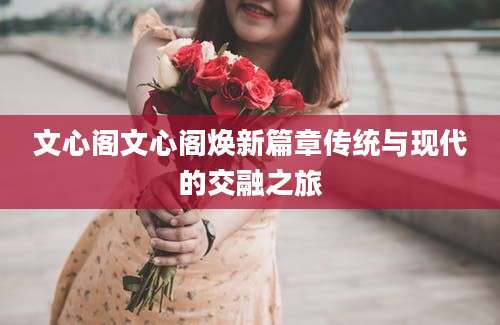 文心阁文心阁焕新篇章传统与现代的交融之旅