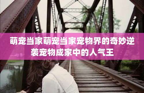 萌宠当家萌宠当家宠物界的奇妙逆袭宠物成家中的人气王